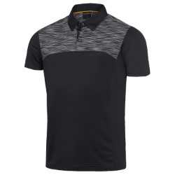 picture of a Galvin Green shirt
