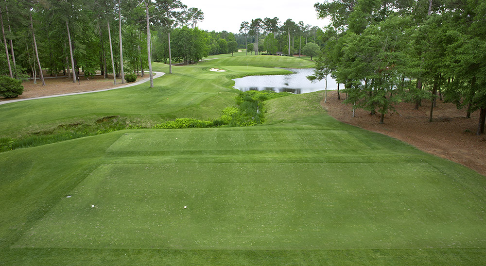 picture of the 17th hole at TPC Mrytle Beach