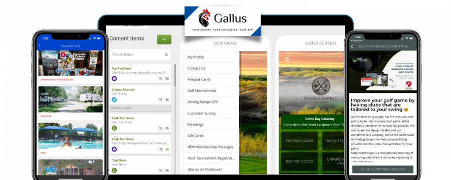 Gallus Tournament Software: Overview 