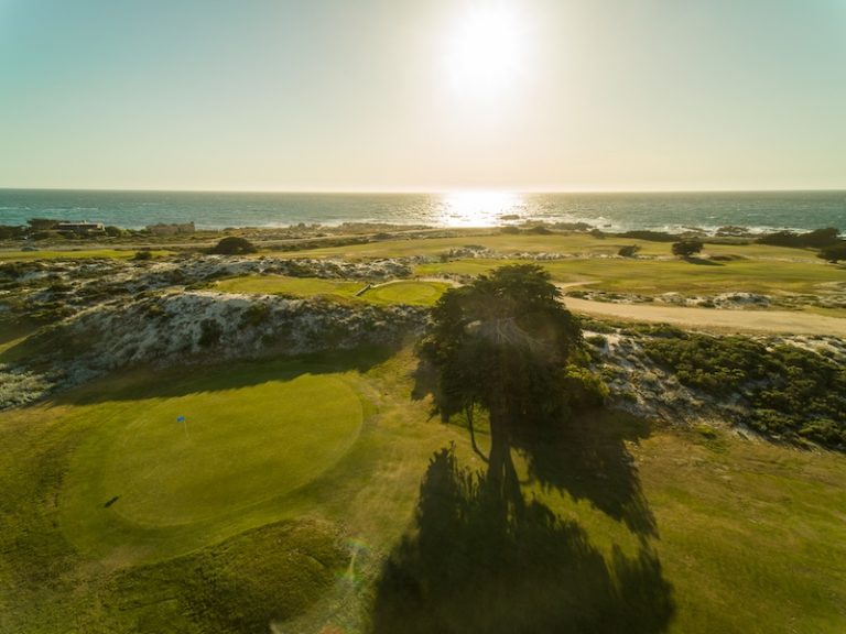 Noteefy Golf Course COURSECO, NOTEEFY, PARTNER TO DEPLOY TEE TIME DEMAND TECHNOLOGY ACROSS ...