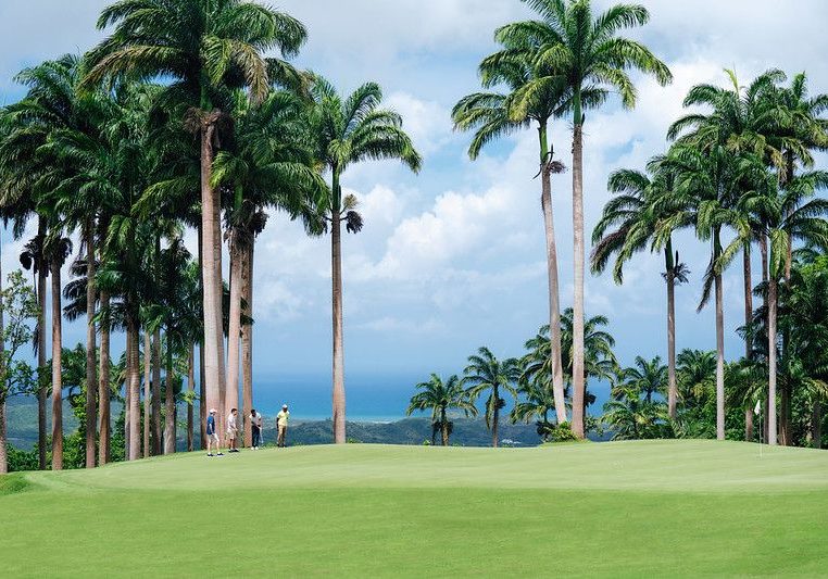 ApesHillBarbadosOceanViewfromGreen