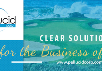 Pellucidstateoftheindustry2026