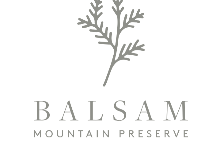 balsammtn