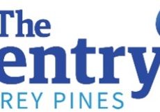 sentrytorrey